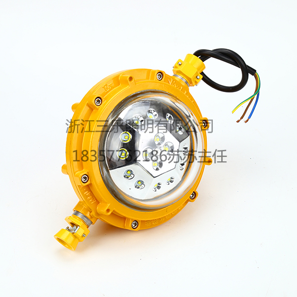 DGS24127L(A) (1).jpg