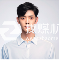 U95-25進(jìn)口截齒