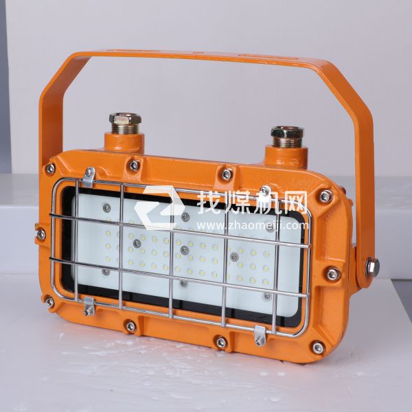 支架燈DGC36-50/127L