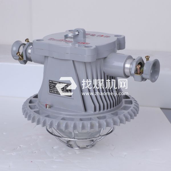 礦用隔爆型LED巷道燈DGS24/127L(B)